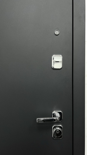 Стальная дверь Flat 80 16 Нарцисс Л 05